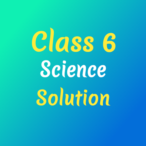 Class 6 Science Solution