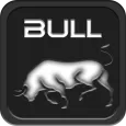 Bull Active Ragdoll