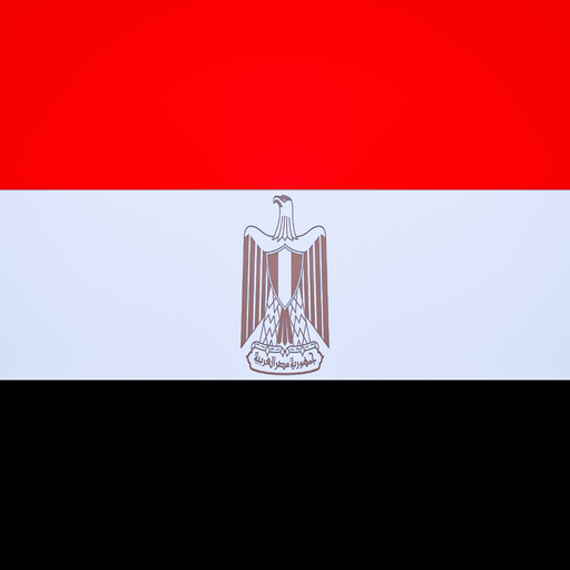 حلول المنهج المصري الجديد