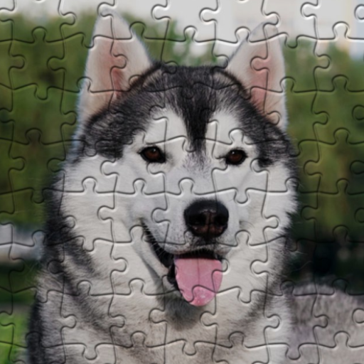 Siberian Husky Jigsaw Puzzles