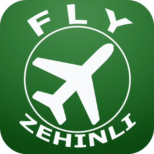 Fly Zehinli