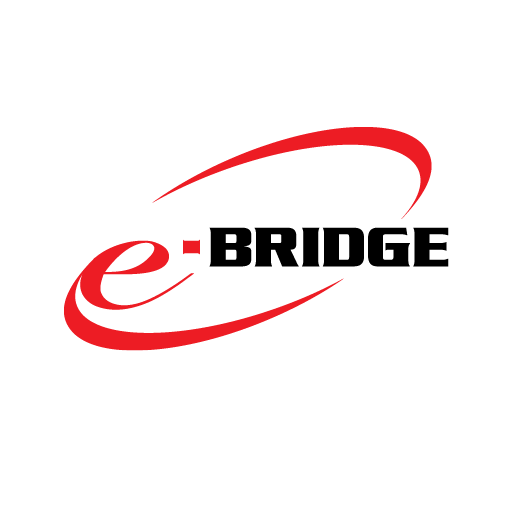 e-BRIDGE Capture & Store