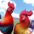 Wild Rooster Run: Chicken Race