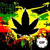 Tema de Papel de Parede Reggae