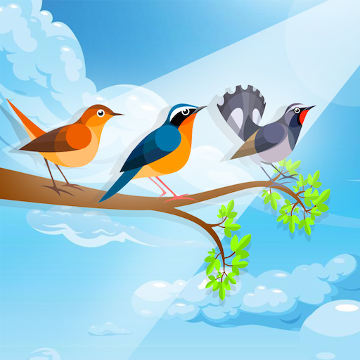 Sort Birds - Puzzle Color 3D
