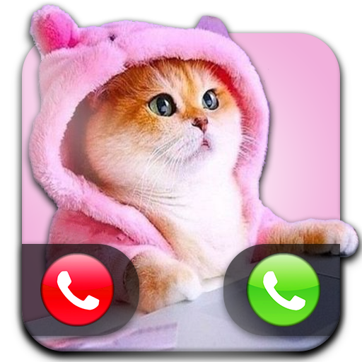 Cute Cat Call & Wallpapers