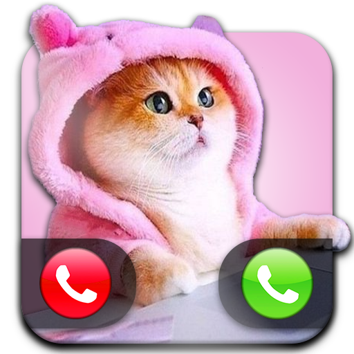 Cute Cat Call & Wallpapers