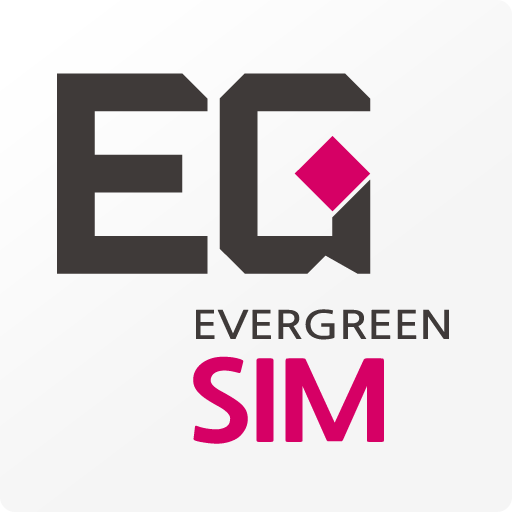 EG SIM CARD (EGSIMCARD, 이지심카드)