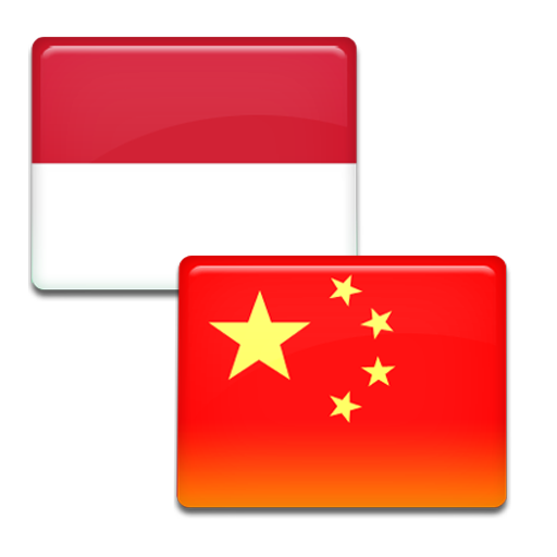 Kamus Bahasa Mandarin Offline