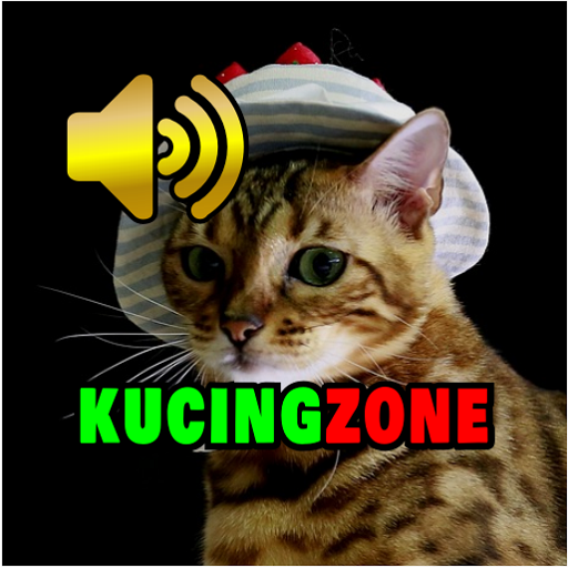 Kucing Zone : Suara Kucing dan