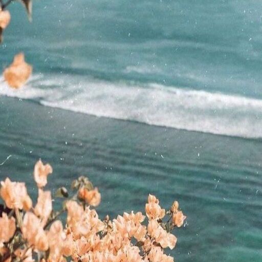 Aesthetic VSCO Wallpapers 4K
