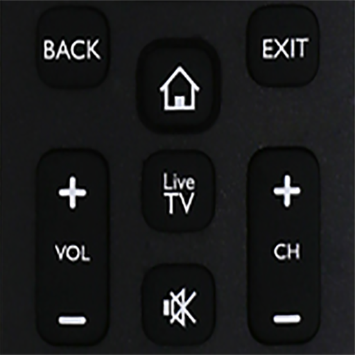 Lloyd TV Remote Control