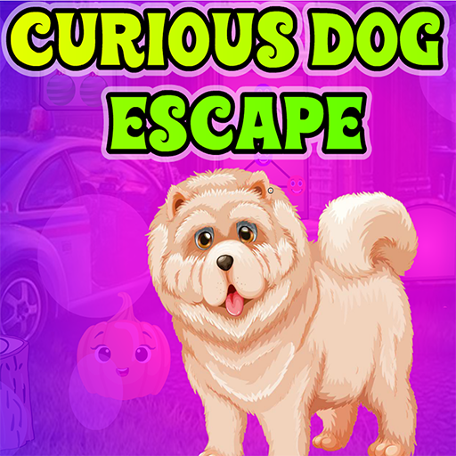 Kavi Escape Game 599 Curious D