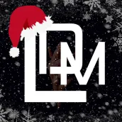 LDM Tech Store