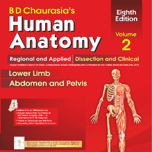 B D Chaurasia Human Anatomy II