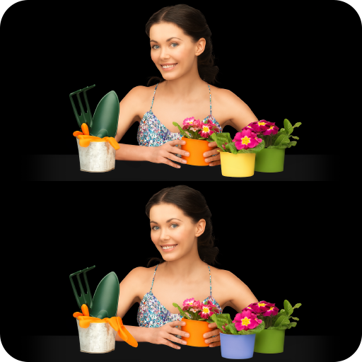 Find The Difference - Hobby