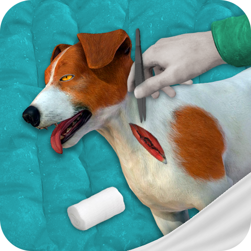 Pet Surgeon simulator:Animal Hospital surgery game
