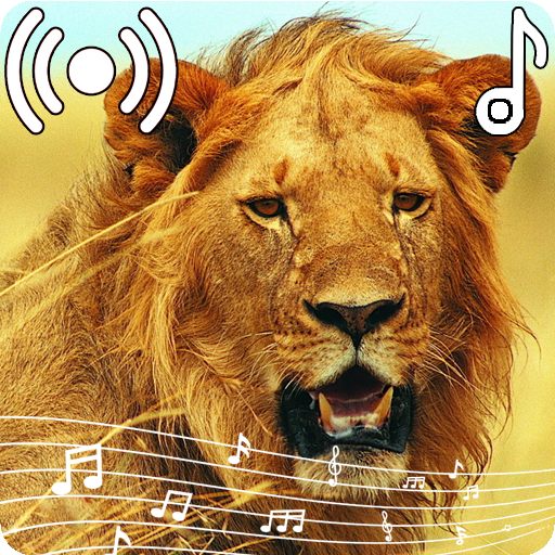 Lion Sounds Ringtone