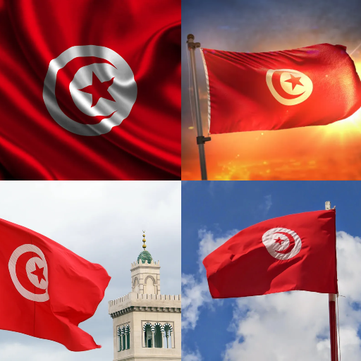 Tunisia Flag Wallpaper: Flags,