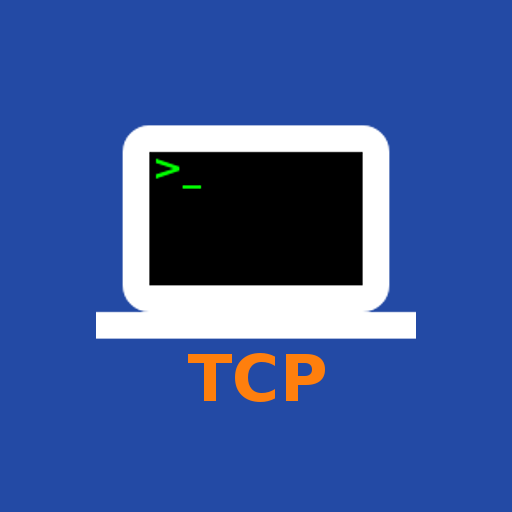 TCP Terminal