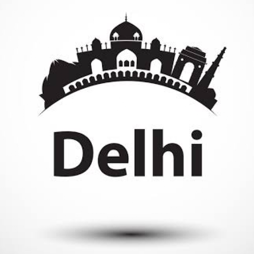 Delhi Wholesale Market Shopping