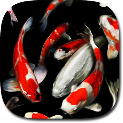 Koi Live Wallpaper PRO