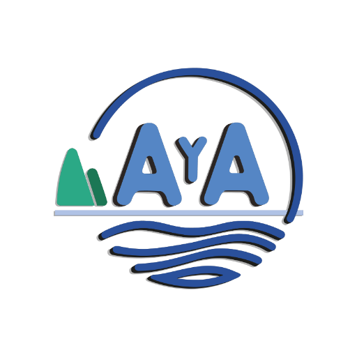 Servicios  AyA