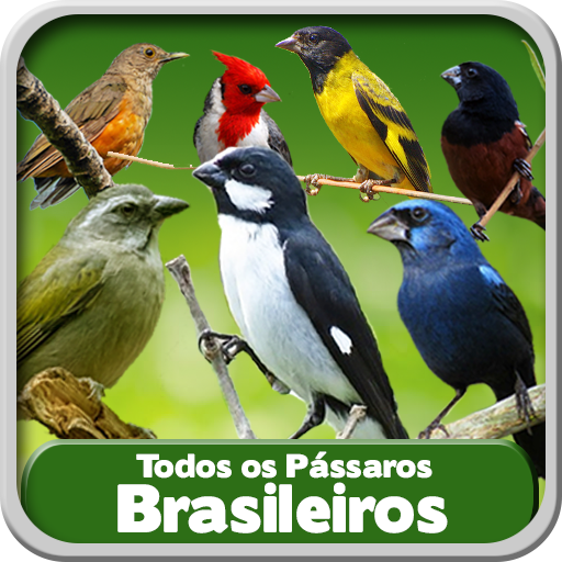 Todos os Pássaros Brasileiros