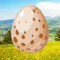 büyülü yumurta