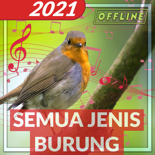 Suara Pikat Semua Burung Ribut