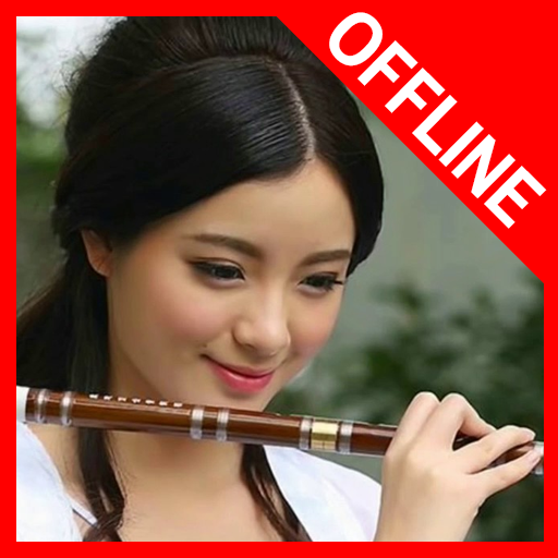 Beautiful Chinese Instrument