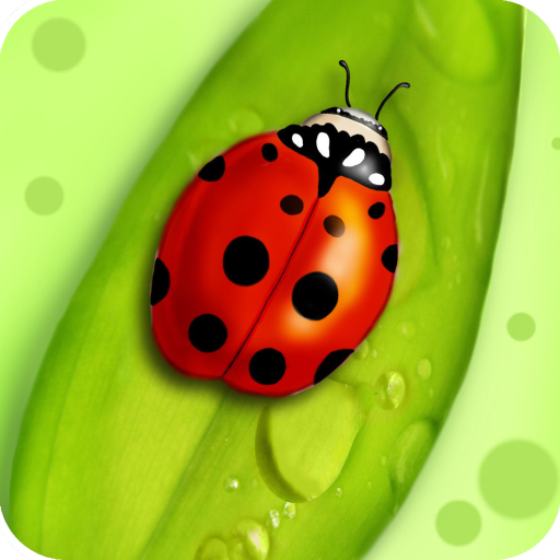 Lady Bug Wallpaper