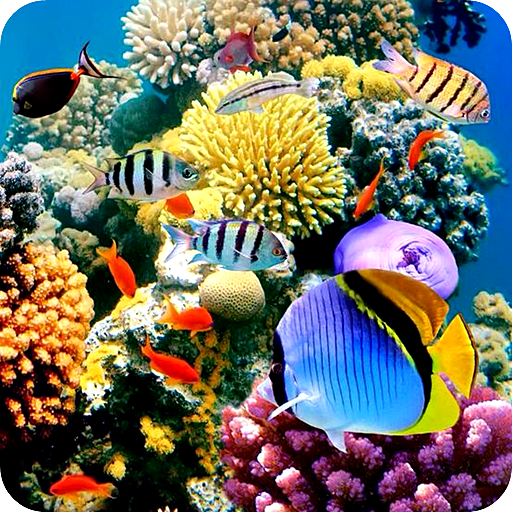 Aquarium Fish Live Wallpaper