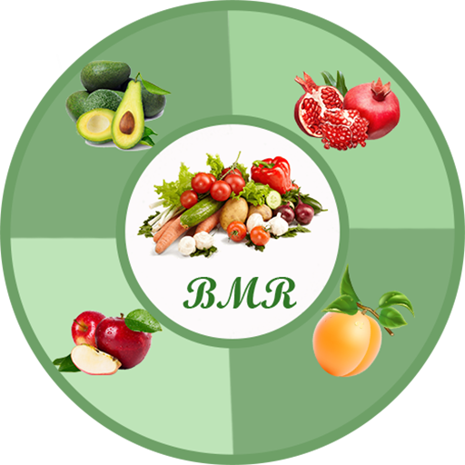 BMR Calculator – Calculate Cal