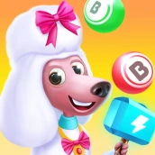 Bingo Master & Coin Adventure