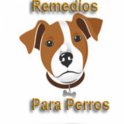 🐶 Remedios Caseros Para Perro