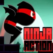 Ninja action