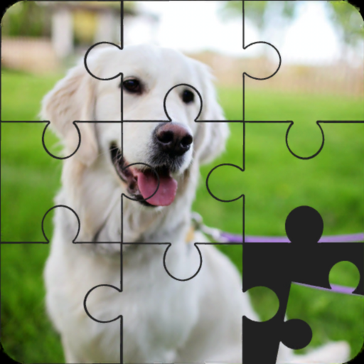 Jigsaw Puzzles - Block Puzzle