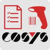 COSYS Inventur