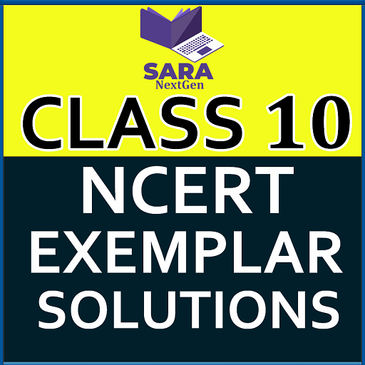 NCERT Exemplar Class 10 Books