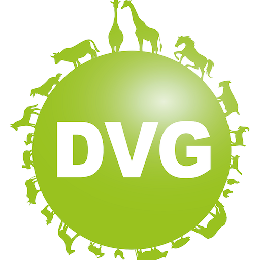 DVG 2018