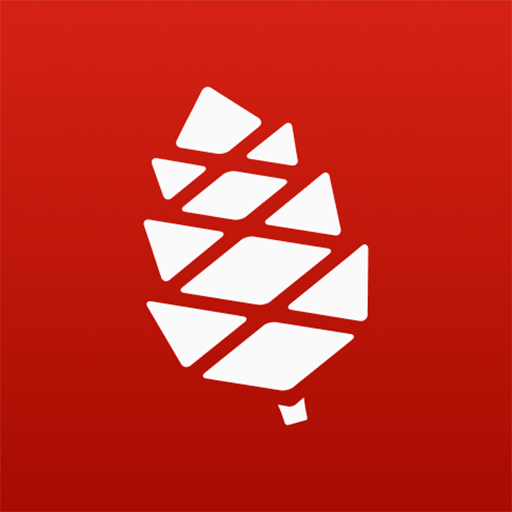 Ёлка - ТВ, фильмы и сериалы