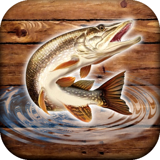 Balık yağmur: balıkçılık