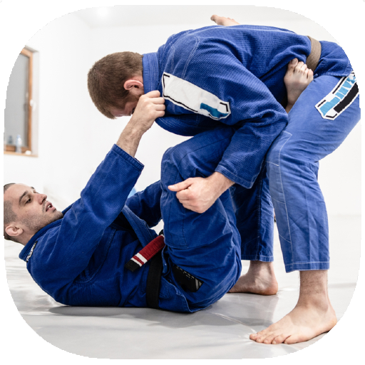 Jiu Jitsu Training Guide