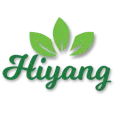 Hiyang International