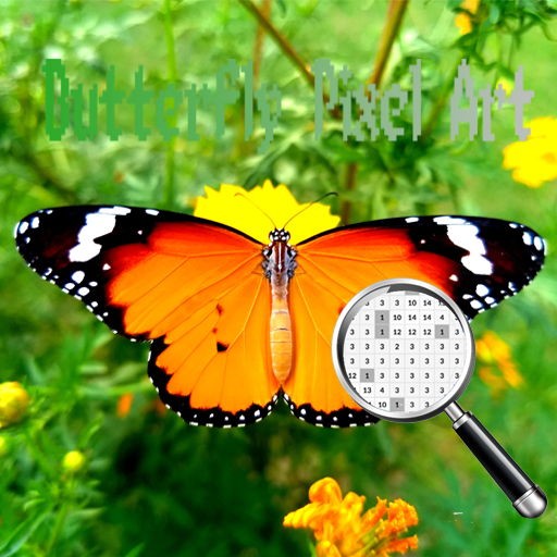 Butterfly Pixel Art : Coloring by Numbers