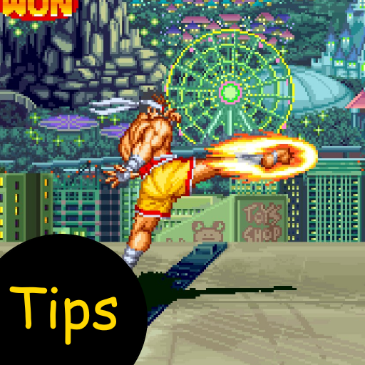 emulator for Fatal of Fury 3 and tips