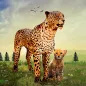 Cheetah Family Sim 3D Game