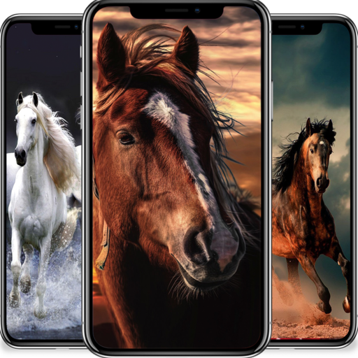 Horse wallpapers