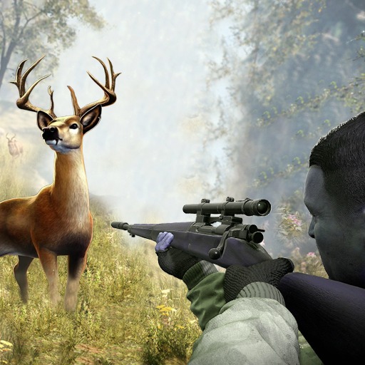 Archery Wild Hunt: Real Sniper Hunting games 2021